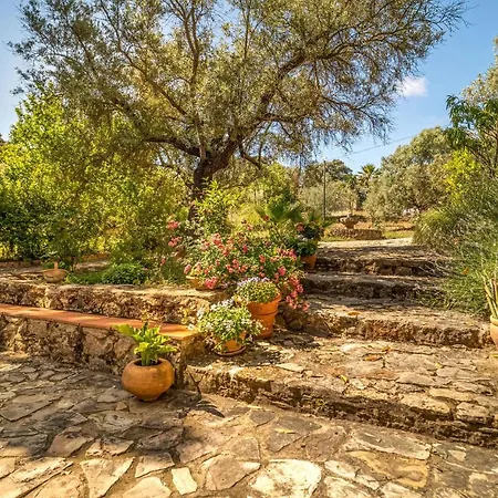 In With House A Mountain View Vakantiehuis Ronda